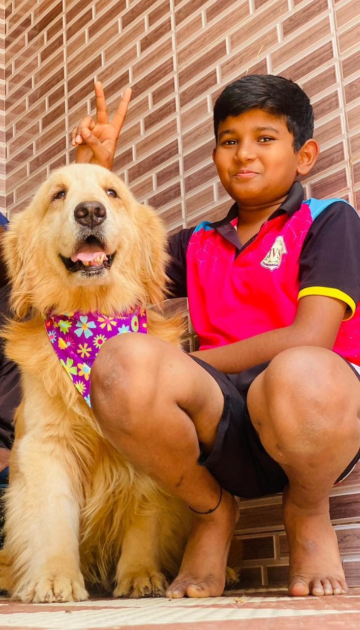 A young owner with their Golden Retriever